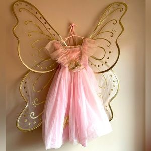 Size 4 butterfly fairy princess dress/costume.